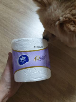 맹고님이 올린 리뷰 사진 2