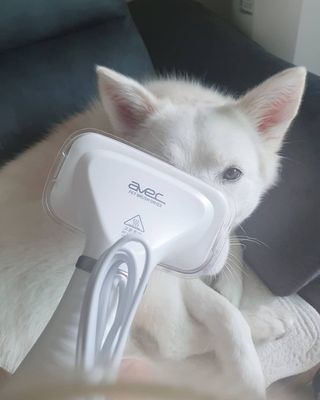 딸랑구둘🥰님이 올린 리뷰 사진 4