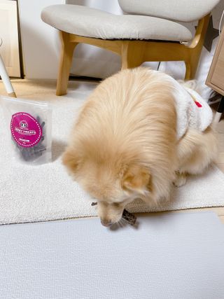 심쿵하루님이 올린 리뷰 사진 3
