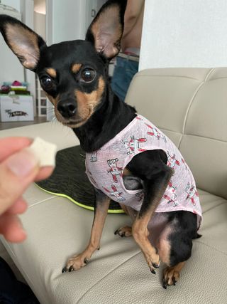 도도님이 올린 리뷰 사진 3