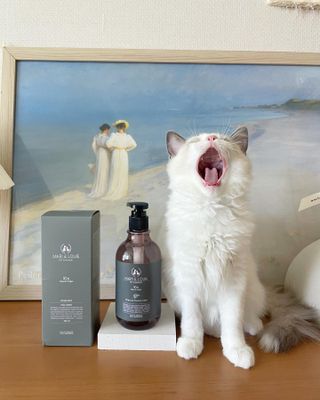 마리앤루이펫샴푸 [mari and louie pet shampoo] — 5점을 준 리뷰어가 2021년 6월 올린 사용 사진