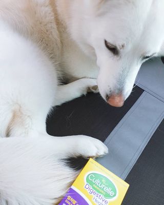 딸랑구둘🥰님이 올린 리뷰 사진 4