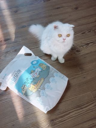 좋아님이 올린 리뷰 사진 1