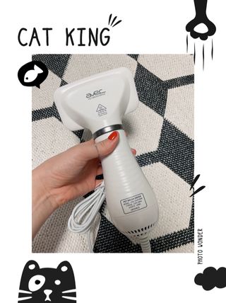 아베크 펫 강아지 고양이 애견 에어 브러쉬 드라이기 올인원 — 5점을 준 리뷰어가 2021년 7월 올린 사용 사진