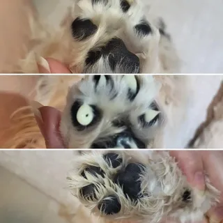 댑빵이님이 올린 리뷰 사진 3