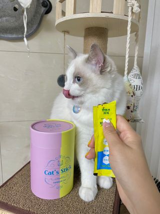 페페로니 맛있는 스틱 - 무항생제 닭고기 15개 + 원양선 참치 15개 — 5점을 준 리뷰어가 2021년 8월 올린 사용 사진