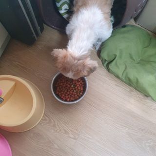 스마일뇽뇽님이 올린 리뷰 사진 3