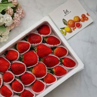 옳음 딸기 논산 설향 딸기 900g 산지직송 — 4.5점을 준 리뷰어가 2021년 2월 올린 사용 사진