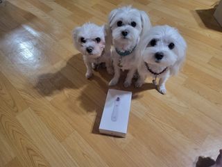 공팔리터님이 올린 리뷰 사진 1