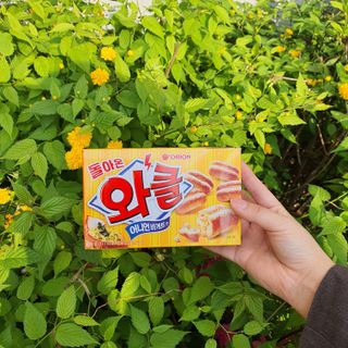 SukyoungKim님이 올린 리뷰 사진 1