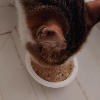 kijoco님이 올린 리뷰 사진 1