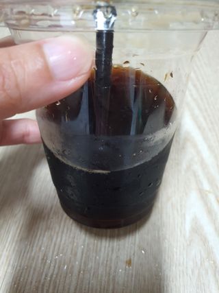 덴마크 싱글 오리진 노르딕 로스팅 — 5점을 준 리뷰어가 2023년 7월 올린 사용 사진