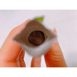 똥비님이 올린 리뷰 사진 2