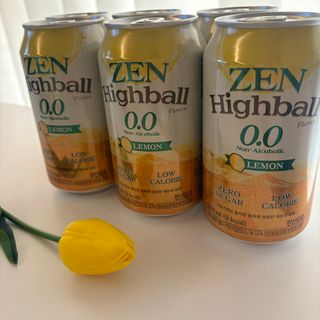 [티젠] 콤부차 하이볼향 레몬 0.0 (350ml X 6개입) — 5점을 준 리뷰어가 2025년 5월 올린 사용 사진