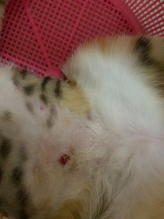 키메진님이 올린 리뷰 사진 1