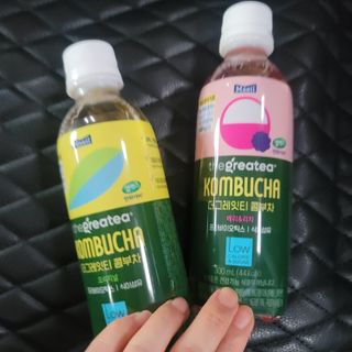 더그레잇티 콤부차 [매일유업] 더그레잇티 44kcal 콤부차 300ml *12개입 (오리지널 6개+베리리치 6개) — 5점을 준 리뷰어가 2023년 7월 올린 사용 사진
