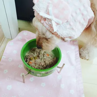 비타크래프트 조에시 하트캔 85g 강아지 습식캔 10캔 — 5점을 준 리뷰어가 2021년 10월 올린 사용 사진