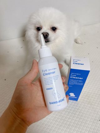[댕모어 클리너 3종] 아이클리너 / 이어클리너 / 덴탈클리너 3종 세트 (120ml) — 5점을 준 리뷰어가 2023년 11월 올린 사용 사진