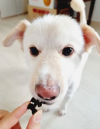 둥이님이 올린 리뷰 사진 3