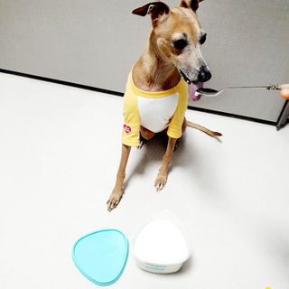 saiio님이 올린 리뷰 사진 3