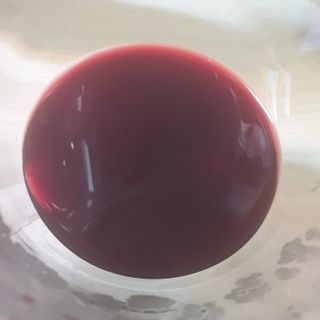 H365 [Kaskein Glögi] 핀란드 전통 무알콜 멀드와인 글로기 — 5점을 준 리뷰어가 2021년 5월 올린 사용 사진