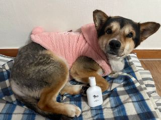 윤도랑님이 올린 리뷰 사진 1
