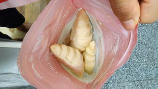 연꽃님이 올린 리뷰 사진 4