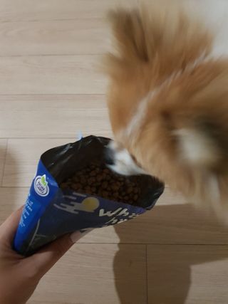 이긍정님이 올린 리뷰 사진 2