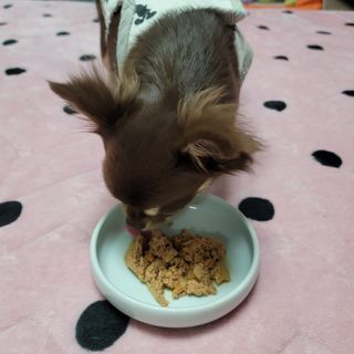 나초단맘님이 올린 리뷰 사진 3