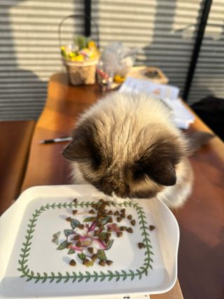 세인님이 올린 리뷰 사진 3