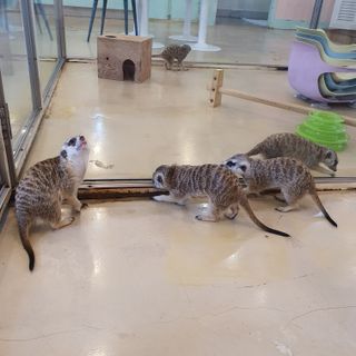 쩡아님이 올린 리뷰 사진 2