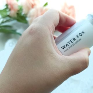 가치 WATERFOX(워터폭스)-엑토인 시카-비옴 하이 워터 크림 (100ml) — 5점을 준 리뷰어가 2023년 1월 올린 사용 사진