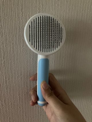 민트초코님이 올린 리뷰 사진 2