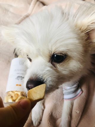Lily님이 올린 리뷰 사진 2