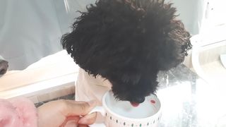 pie_chui님이 올린 리뷰 사진 2