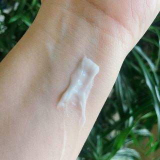 록타비아 Artisan Complete Face Cream — 5점을 준 리뷰어가 2023년 11월 올린 사용 사진