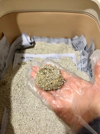 겟플렉스 켓플렉스 캣츠룸BS-1 고양이모래 4kg — 5점을 준 리뷰어가 2021년 1월 올린 사용 사진