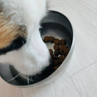 봉자맘님이 올린 리뷰 사진 4