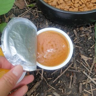 두두님이 올린 리뷰 사진 3