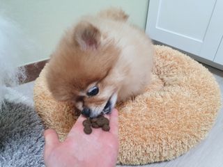 깜장야시님이 올린 리뷰 사진 3