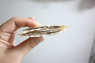 미야님님이 올린 리뷰 사진 4