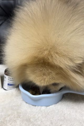 뽀야니님이 올린 리뷰 사진 4