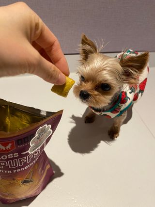 몽실이님이 올린 리뷰 사진 4
