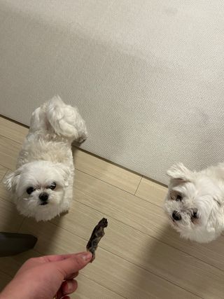율하댁님이 올린 리뷰 사진 4