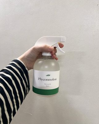 올라잍 편목수 피톤치드 스프레이 — 5점을 준 리뷰어가 2023년 2월 올린 사용 사진
