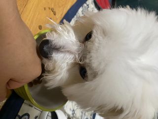징쥬님이 올린 리뷰 사진 3