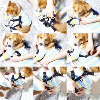림림님이 올린 리뷰 사진 2