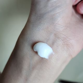 러브모아 향수 고체향수 승무원 고체향수 바르는 향수 니치향수 도손 우드세이지 앤 씨솔트 — 5점을 준 리뷰어가 2022년 11월 올린 사용 사진