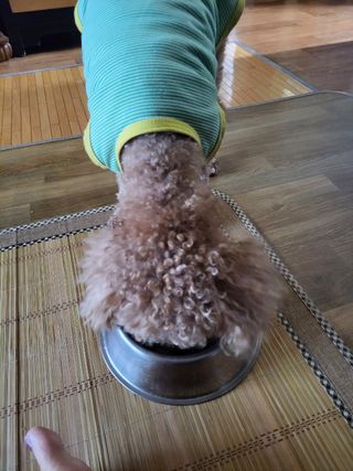 귀요미두공주맘님이 올린 리뷰 사진 3