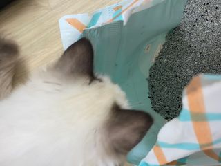 율집사님이 올린 리뷰 사진 1